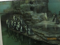 IMG_7520.jpg, 27kB